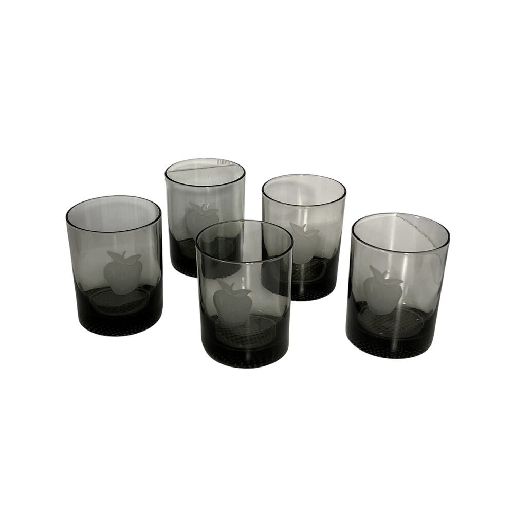 Smoke Gray Lowball Old Fashioned Etched Fruit Juice Barware Whiskey Set Of 5